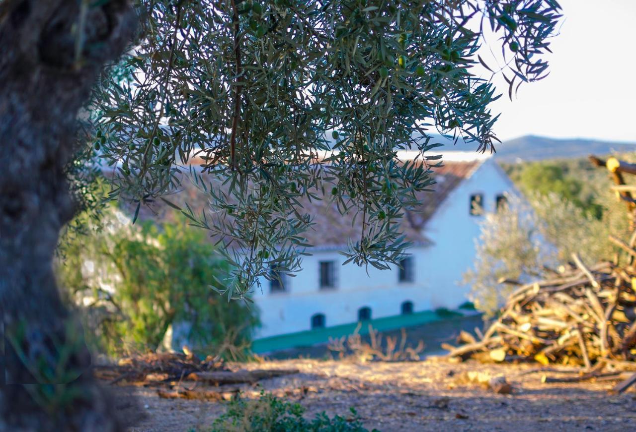 Cortijo Alzamigaja Villa อาร์ชิโดนา ภายนอก รูปภาพ