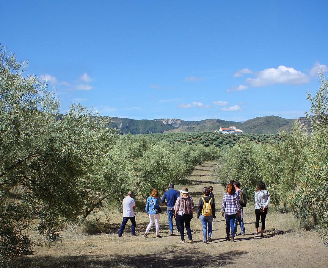 Cortijo Alzamigaja Villa อาร์ชิโดนา ภายนอก รูปภาพ