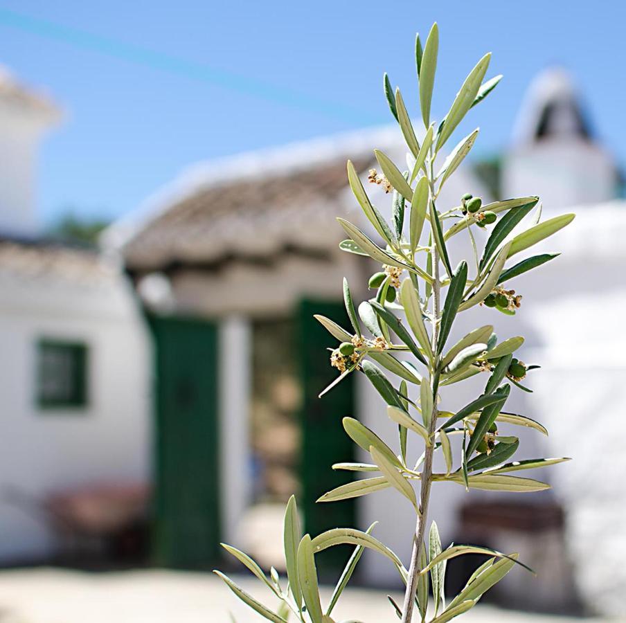 Cortijo Alzamigaja Villa อาร์ชิโดนา ภายนอก รูปภาพ