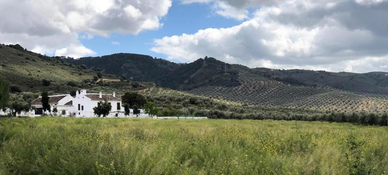 Cortijo Alzamigaja Villa อาร์ชิโดนา ภายนอก รูปภาพ